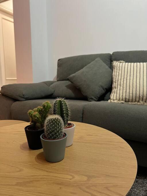 Top Duplex Centro "La Plazuela" 赫雷斯 外观 照片